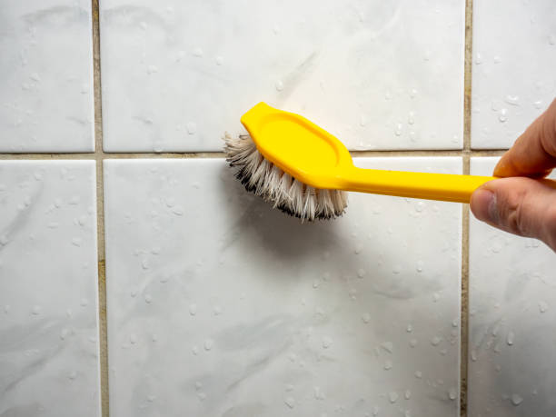 Best Residential Mold Removal  in Emmaus, PA